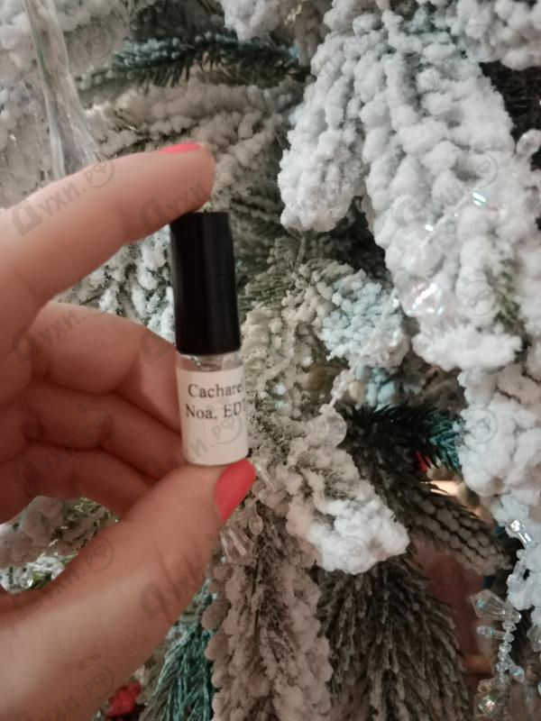 Духи Noa от Cacharel