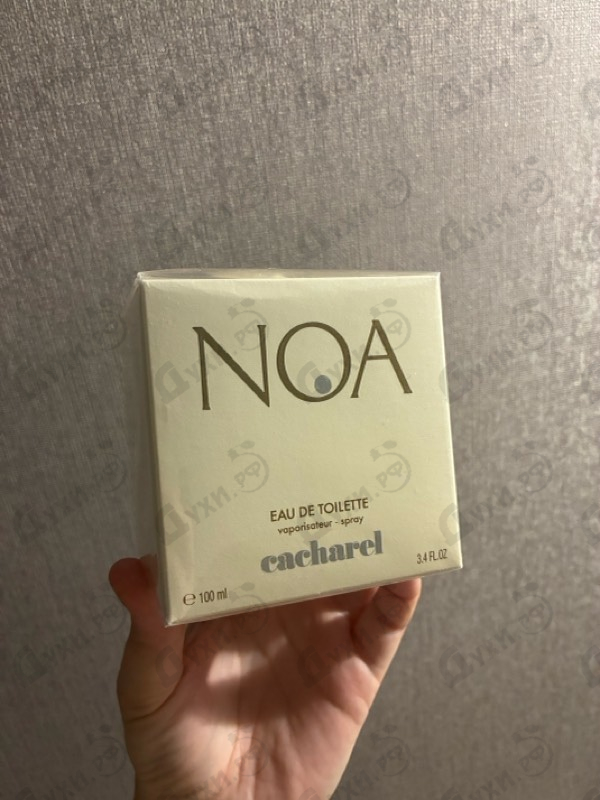 Купить Noa от Cacharel