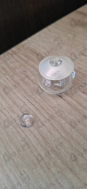 Купить Noa от Cacharel