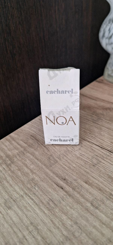 Купить Noa от Cacharel
