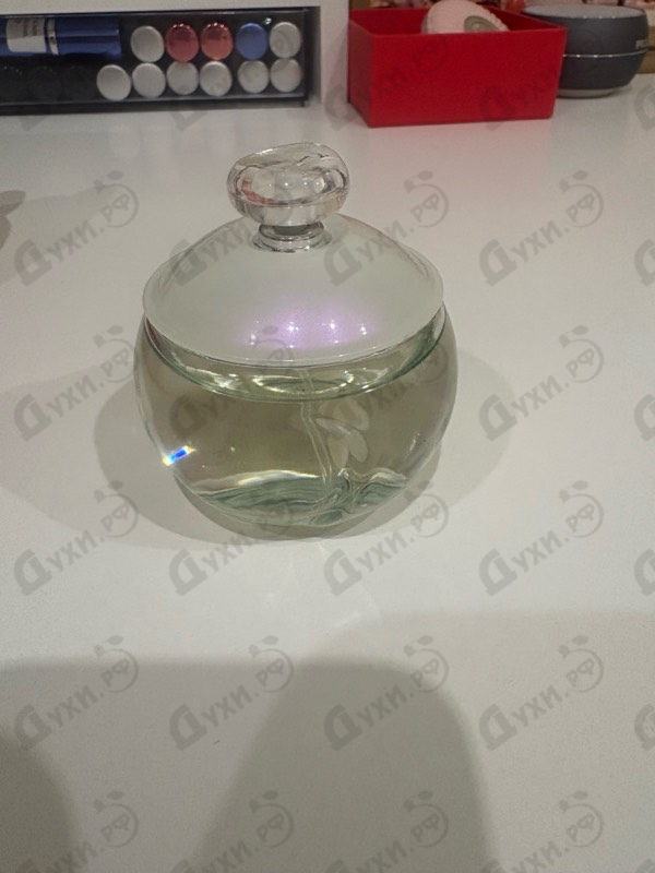 Купить Noa от Cacharel