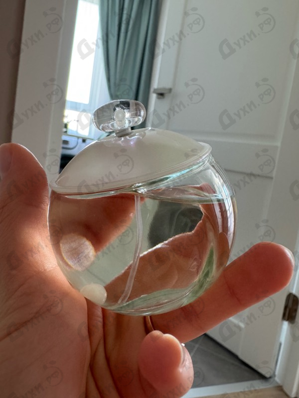 Духи Noa от Cacharel