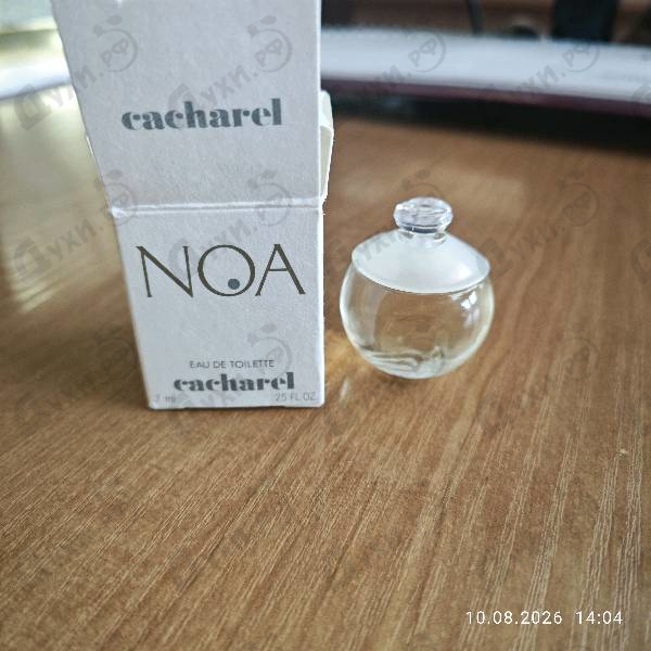 Купить Cacharel Noa