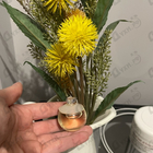 Духи Noa от Cacharel