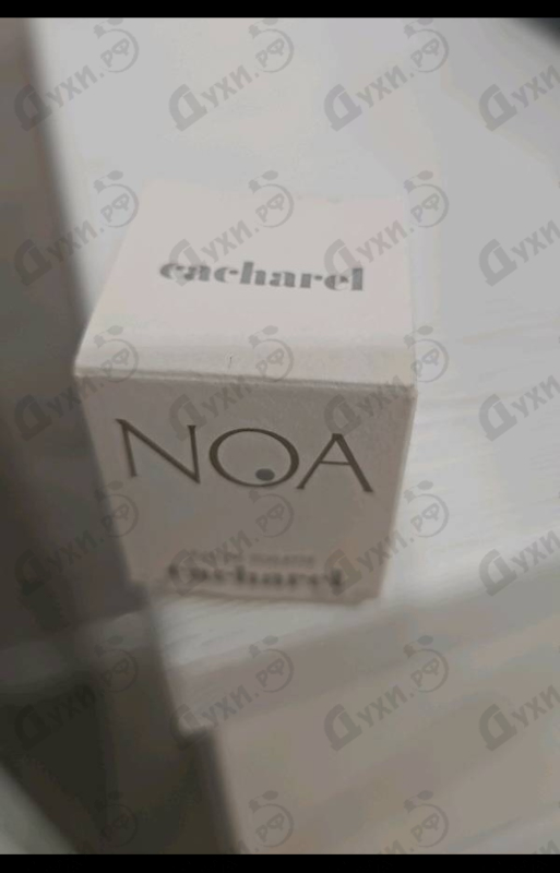 Купить Noa от Cacharel