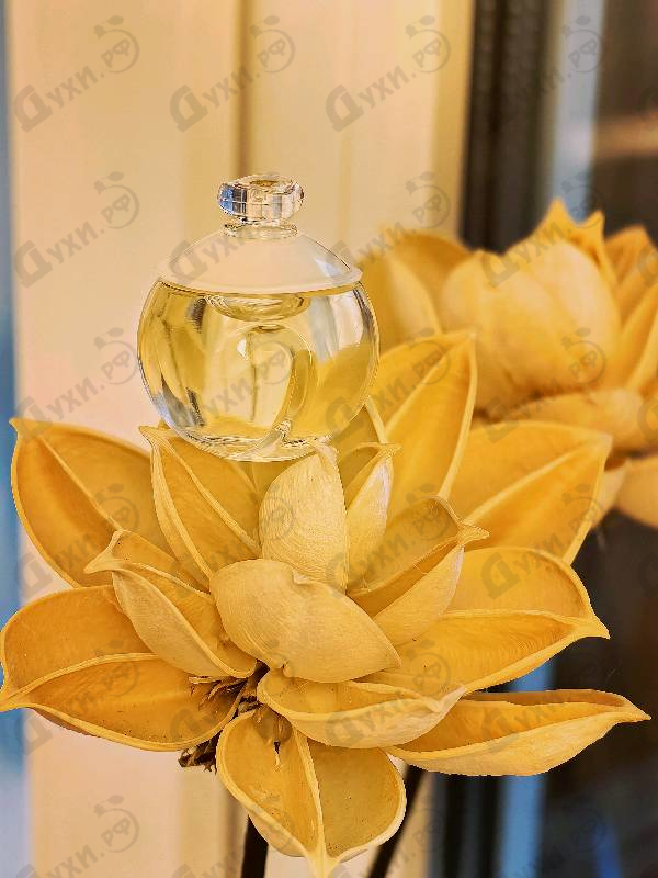 Духи Noa от Cacharel