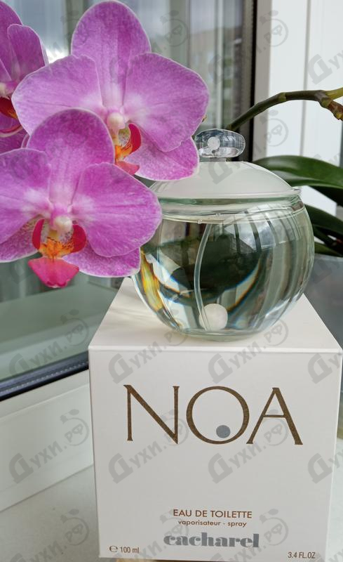 Купить Cacharel Noa