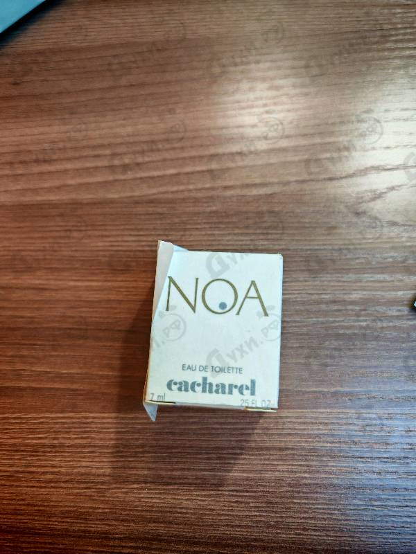 Парфюмерия Noa от Cacharel