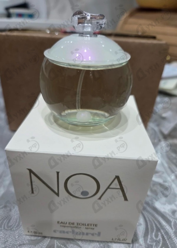 Купить Noa от Cacharel