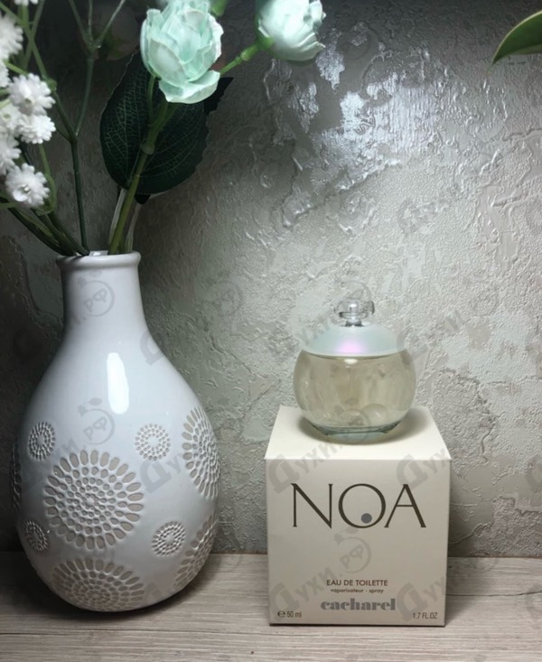 Купить Noa от Cacharel