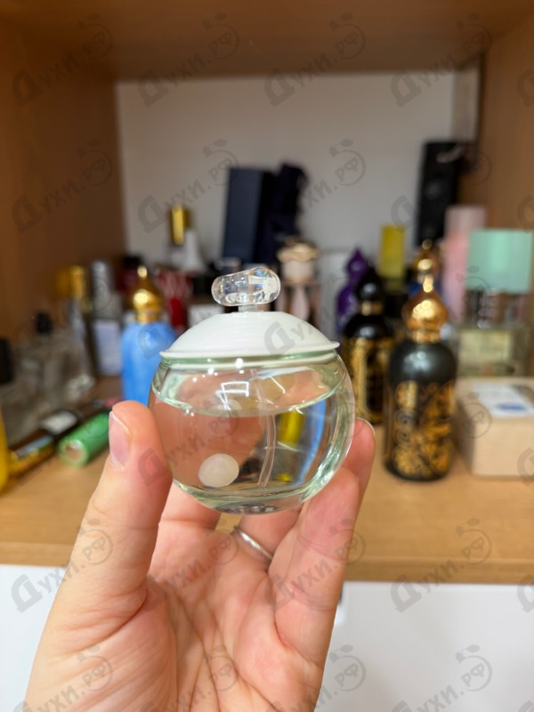 Парфюмерия Noa от Cacharel