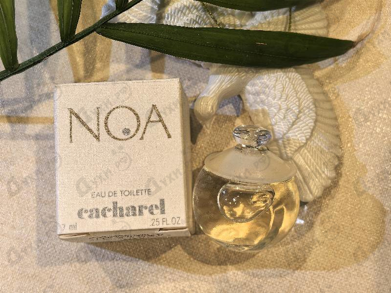 Парфюмерия Noa от Cacharel