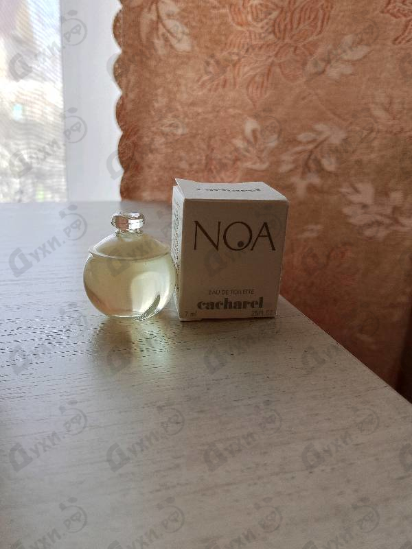 Отзыв Cacharel Noa