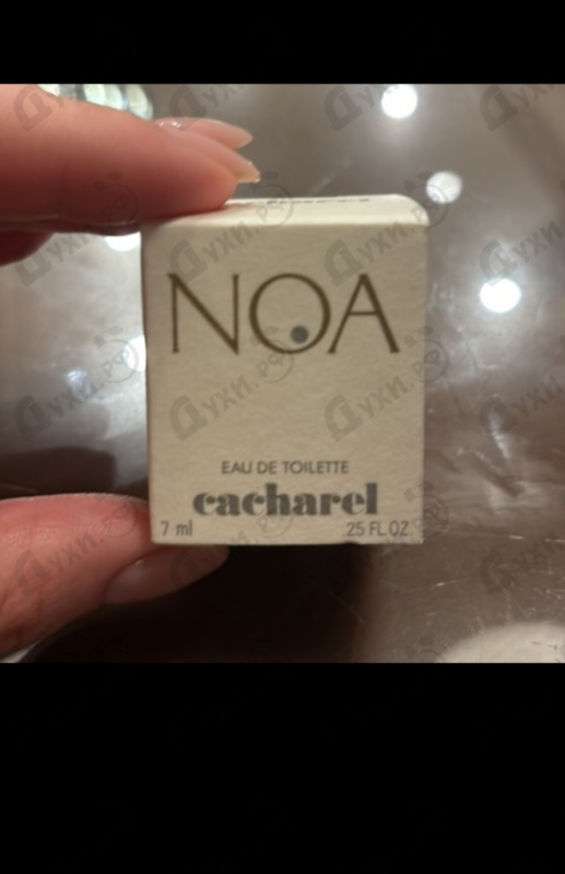 Купить Noa от Cacharel