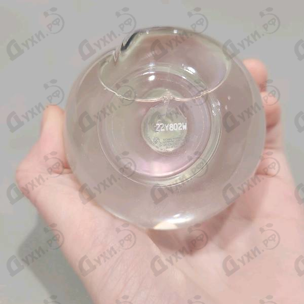 Парфюмерия Noa от Cacharel