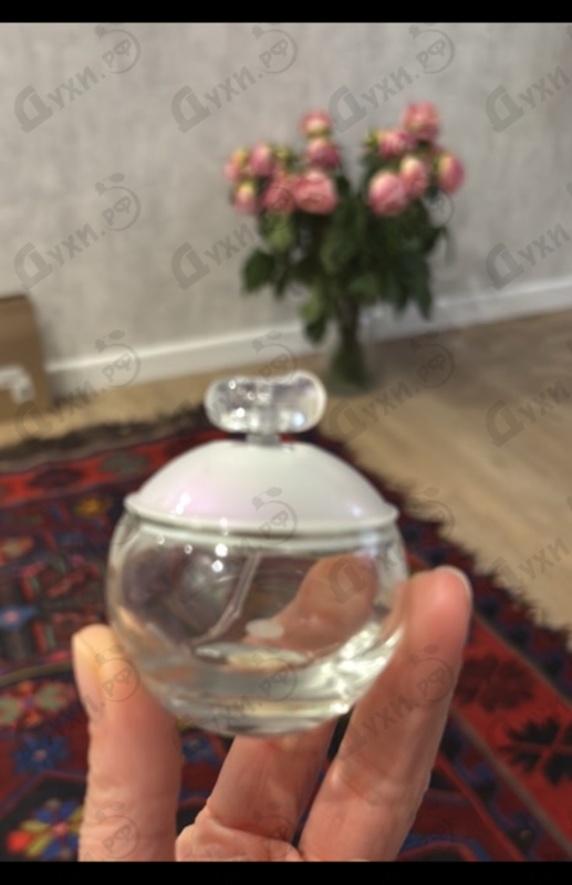 Купить Noa от Cacharel