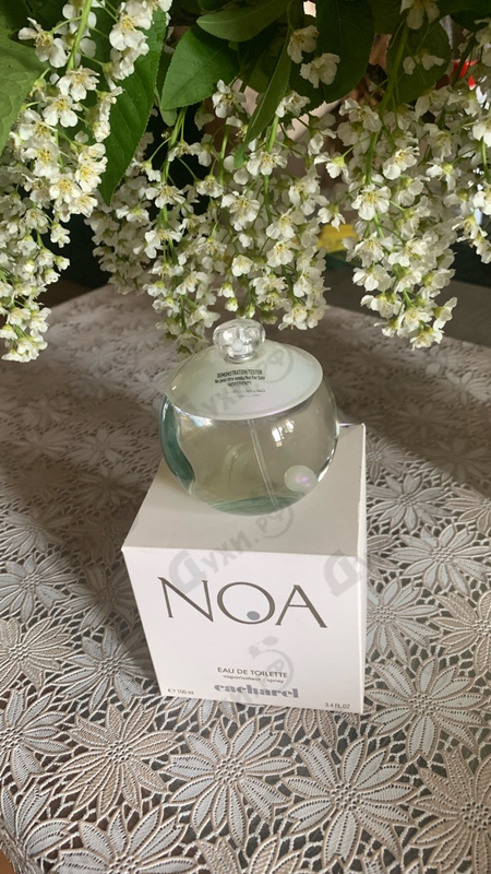 Парфюмерия Noa от Cacharel