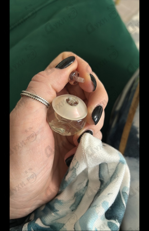 Парфюмерия Noa от Cacharel