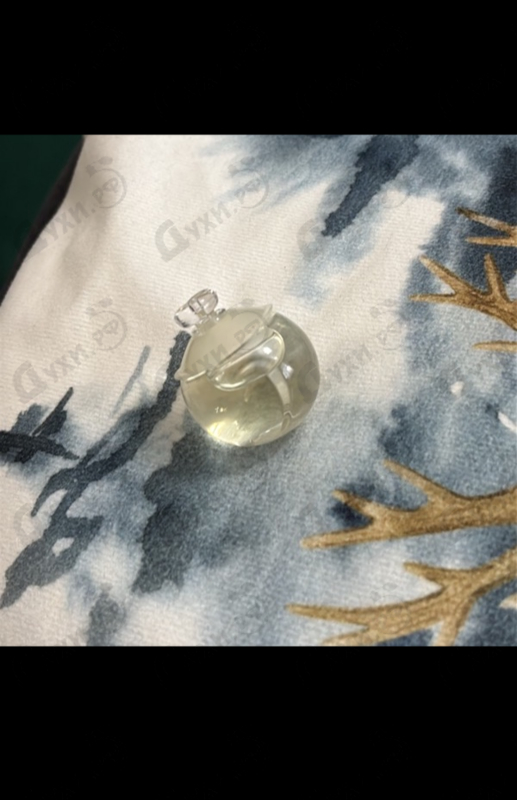 Купить Noa от Cacharel