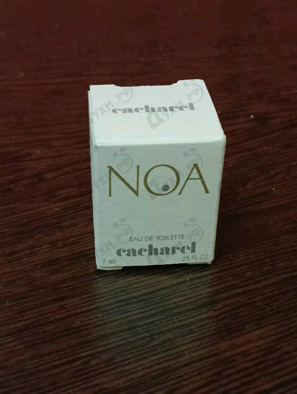 Купить Noa от Cacharel