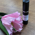 Отзывы Cacharel Promesse