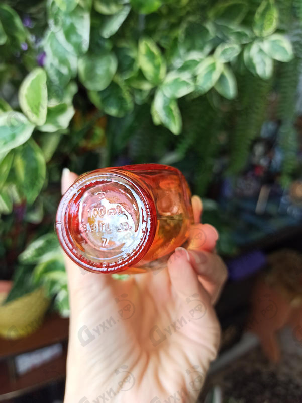 Отзыв Cafe-cafe Cafeina Купить Cafeina от Cafe-cafe