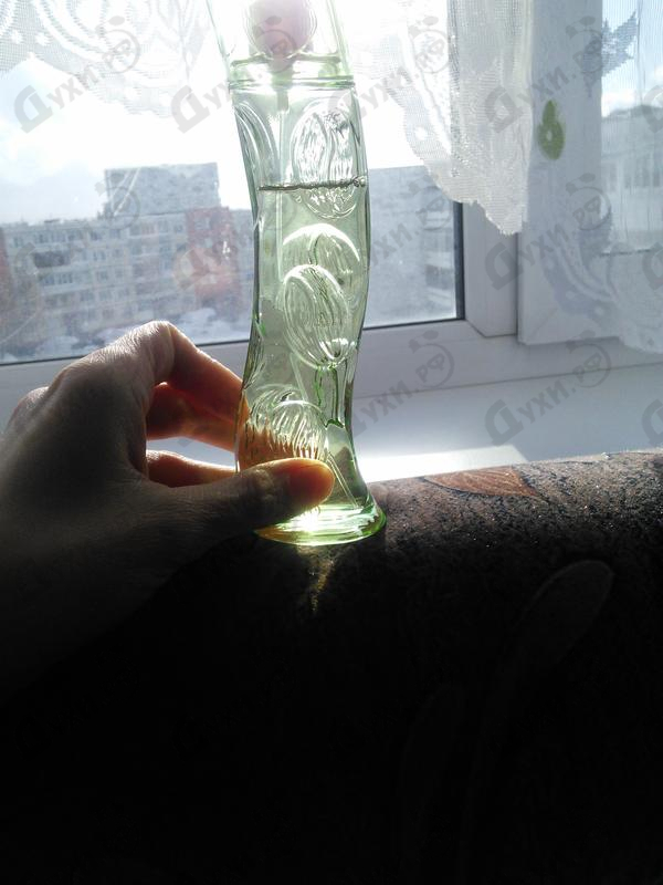 Духи Cafe-cafe Green Купить Green от Cafe-cafe