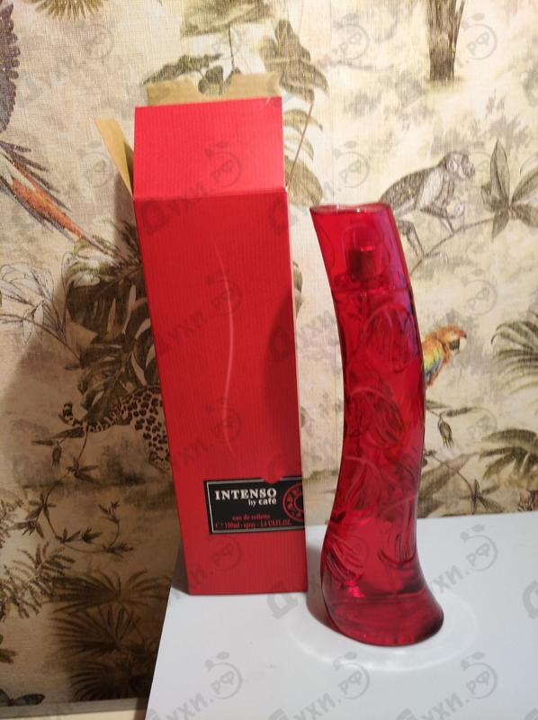 Парфюмерия Cafe-cafe Intense Духи Intense от Cafe-cafe