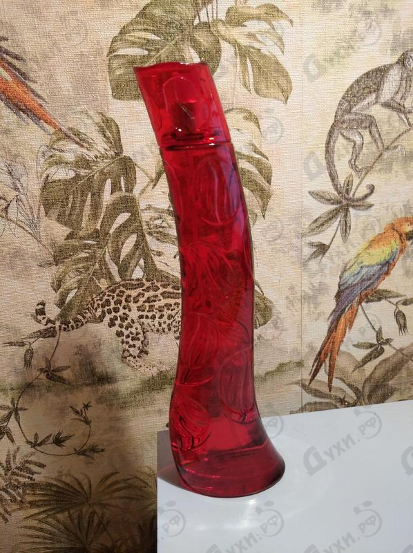 Купить Cafe-cafe Intense Парфюмерия Intense от Cafe-cafe