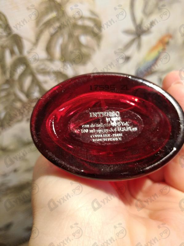 Купить Intense от Cafe-cafe Парфюмерия Cafe-cafe Intense