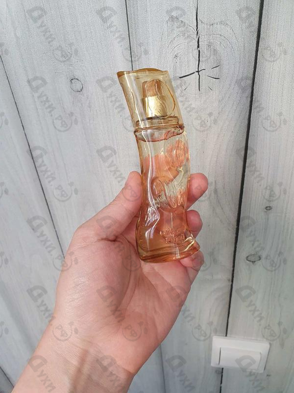 Купить Puro от Cafe-cafe Парфюмерия Cafe-cafe Puro