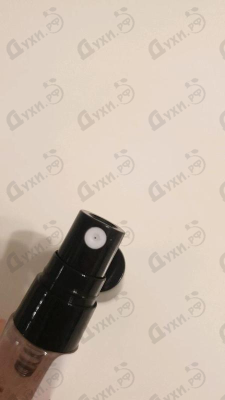 Парфюм Cafe-cafe South Beach Духи South Beach от Cafe-cafe