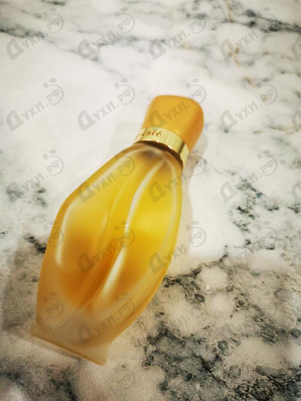 Купить Women от Cafe-cafe Парфюмерия Cafe-cafe Women