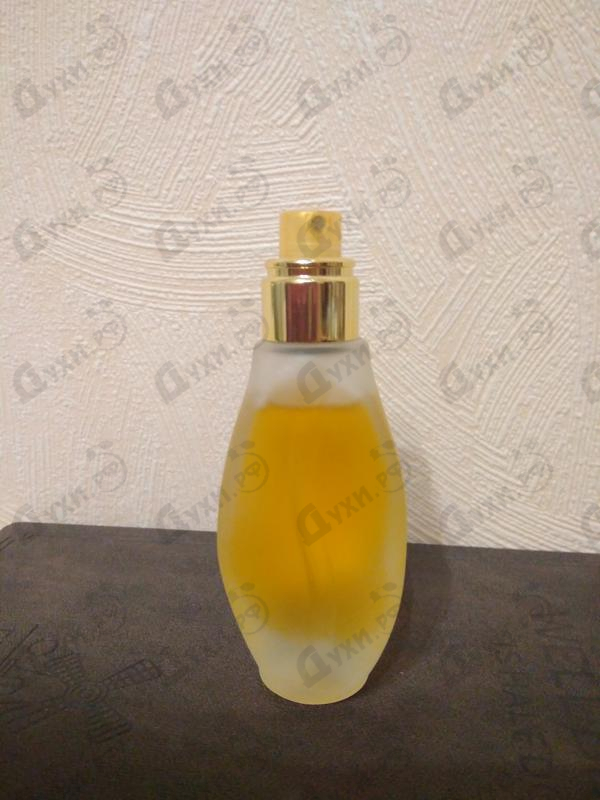 Купить Women от Cafe-cafe Купить Cafe-cafe Women