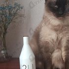 Отзыв Calvin Klein Ck In2u