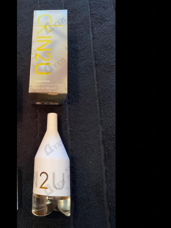 Купить Ck In2u от Calvin Klein