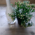 Парфюм Calvin Klein Ck In2u