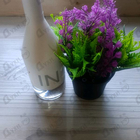 Отзывы Calvin Klein Ck In2u