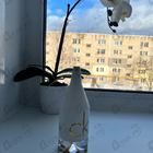 Отзыв Calvin Klein Ck In2u