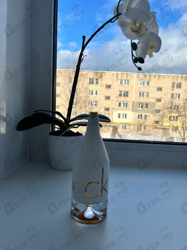 Духи Ck In2u от Calvin Klein