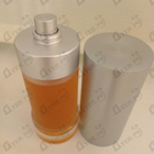 Отзыв Calvin Klein Contradiction