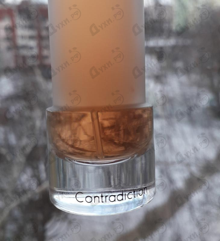 Купить Contradiction от Calvin Klein