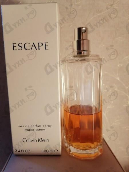 Купить Escape от Calvin Klein