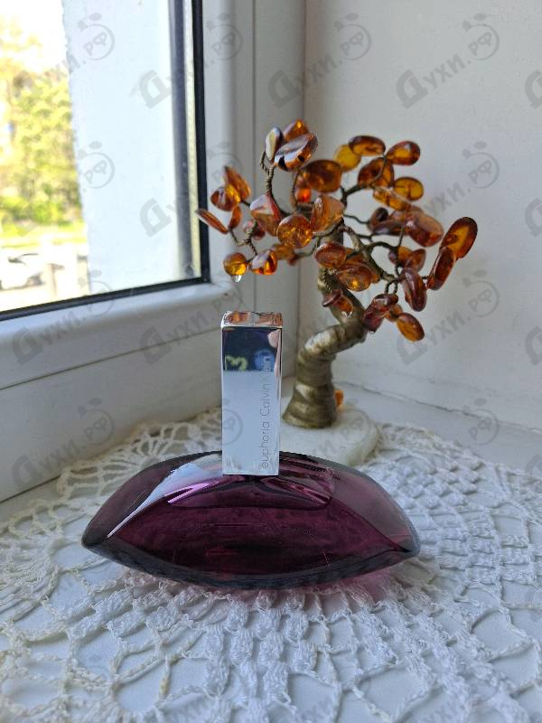 Парфюмерия Calvin Klein Euphoria