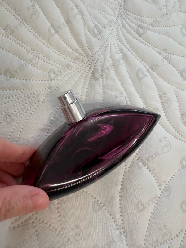 Парфюмерия Calvin Klein Euphoria