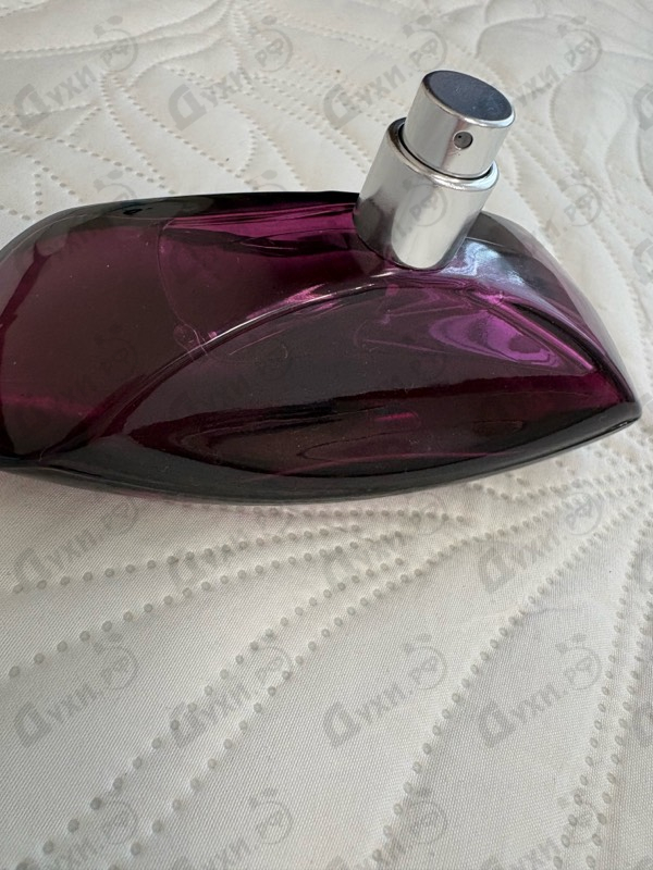Купить Euphoria от Calvin Klein