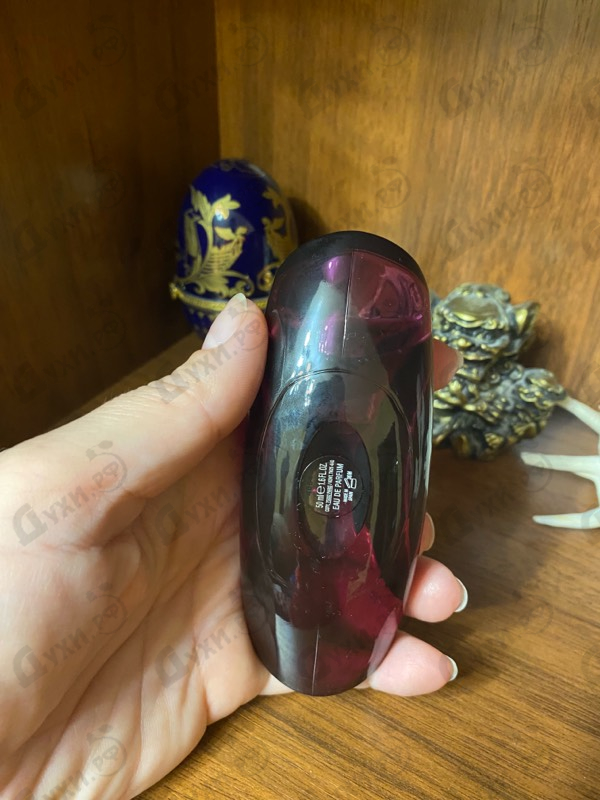 Купить Euphoria от Calvin Klein