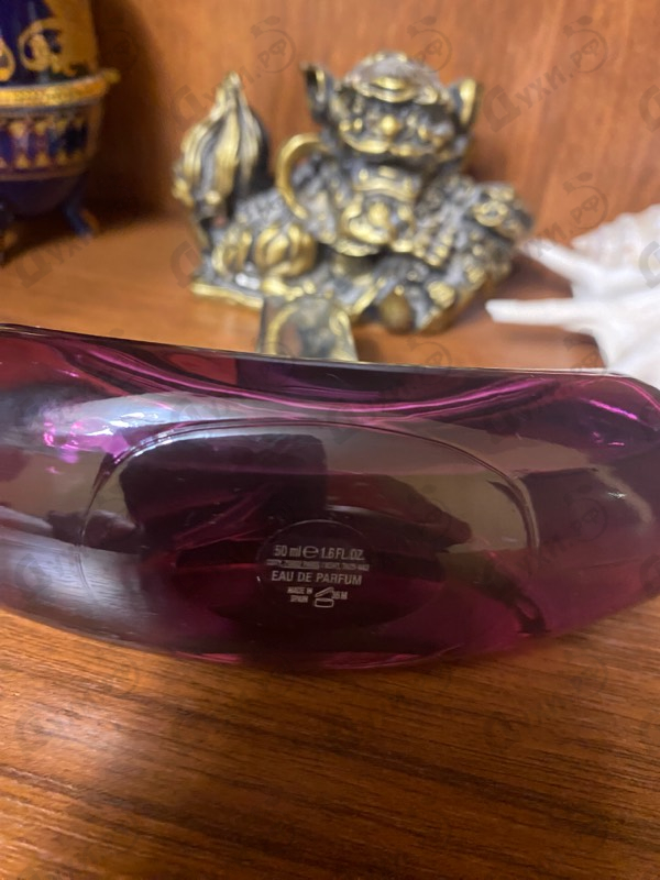 Парфюмерия Calvin Klein Euphoria