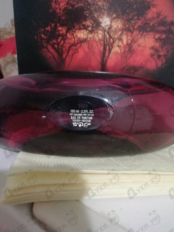 Купить Calvin Klein Euphoria