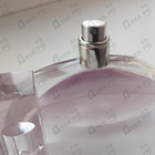 Парфюм Calvin Klein Euphoria Blossom